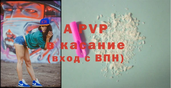 гидра Долгопрудный