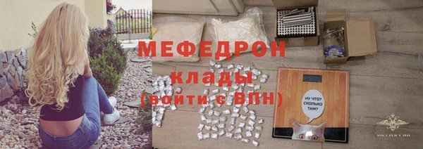 гидра Долгопрудный