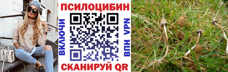 Псилоцибиновые грибы Magic Shrooms  Пойковский 